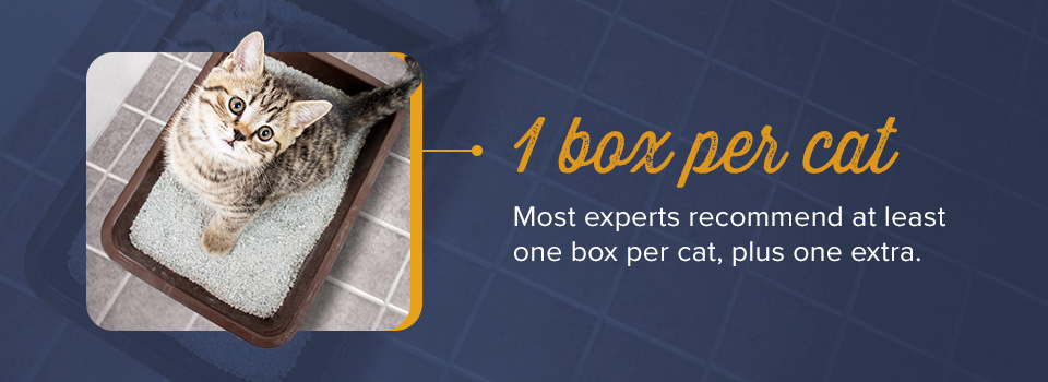 1 Litter Box Per Cat