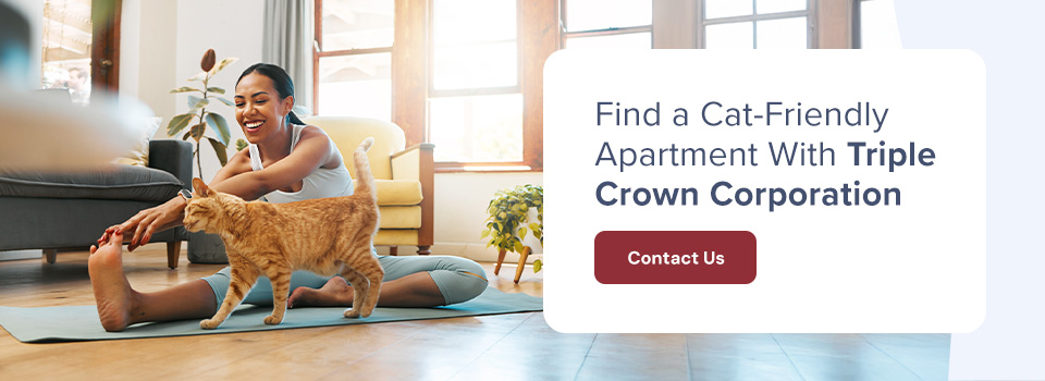 Find a Cat-Friendly Apartment With TCC